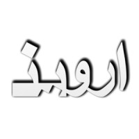 Imen fidar Ervin logo - Similar company to Portworld Solutions