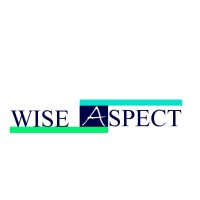 Wise Aspect logo - Similar company to Samsson