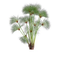 Papyrus Software Technology PLC logo - Similar company to Theplus-Technologies