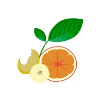 Fruto Deshidratado logo - Similar company to Our Sour® | Mix Sour Deshidratado