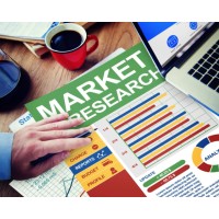 DataPulseee logo - Similar company to Market Quste