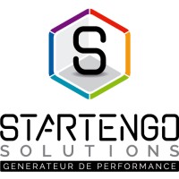 Startengo Solutions logo - Similar company to Lubatex Group