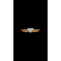 Rent Car Deluxe logo - Similar company to Dxt Campeón