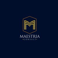 Maestria Consult logo - Similar company to Solvety