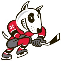 Niagara IceDogs Hockey Club logo - Similar company to Welland Jackfish