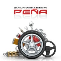 Llantas Gigantes y Servicios Peña logo - Similar company to Pro-Lynx Inc