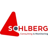 Sohlberg Consulting LTD logo - Similar company to Innstant Group