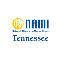 NAMI Tennessee logo - Similar company to Nami Davidson County
