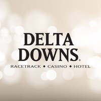 Delta Downs logo - Similar company to Channelpro Ltd