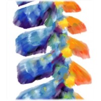 NuSpine logo - Similar company to Biomedical Engineering At Uppsala University