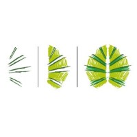 Schule Erlen logo - Similar company to Vsg Region Sulgen