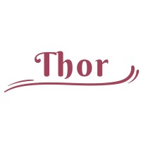 Thor (Thailand) Co., Ltd. logo - Similar company to Ifs Capital (Thailand) Pcl