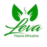 LEVA logo - Similar company to Leva Foundation