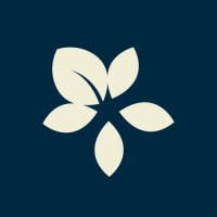 Baruche logo - Similar company to Damerrano