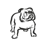 DUNDERDOG logo - Similar company to Loop
