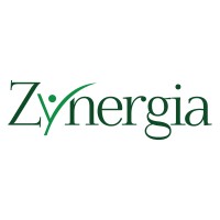 Zynergia logo - Similar company to Propel Hr