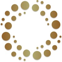 SAMENA Management Consultancies logo - Similar company to Biztech Solution