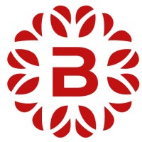 Bilsan Business Solutions | Palestine logo - Similar company to Bilsan Business Solutions