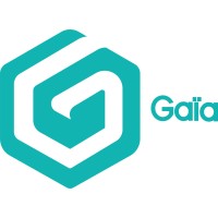 Gaia Synergy logo - Similar company to Salesforce And Mulesoft Integration At Qwent