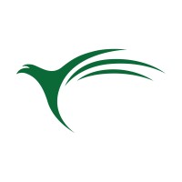 Delanore Group logo - Similar company to Stiloto Kılıf Ve Aksesuarları San. Tic. Ltd. Şti.