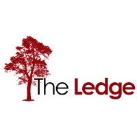 The Ledge logo - Similar company to Diversified Financial Solutions