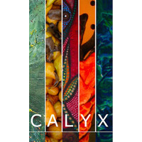 CALYX Press logo - Similar company to The Daily Barometer