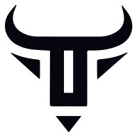 Trading Bull logo - Similar company to Epic Frame