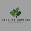 NexCure Exports logo - Similar company to Forex Onliner