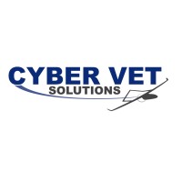 Cyber Vet Solutions, Llc