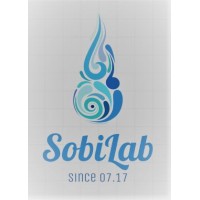 AYBÜ Psikoloji Uygulama ve Araştırma Merkezi logo - Similar company to Aybu Spire Lab
