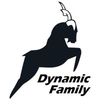 DYNAMIC FAMILY S.L. logo - Similar company to Maximo Moto S.L
