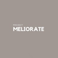 Project.Meliorate logo - Similar company to Coders Over Borders