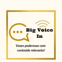 Big Voice In logo - Similar company to Openthedoor Studios