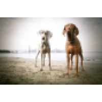 Citizen Hound logo - Similar company to Seeds Social Emotional Education And Development Of Self