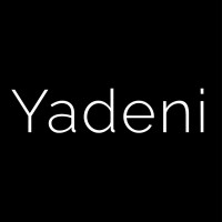 Yadeni Consulting logo - Similar company to Make Ways Foundation
