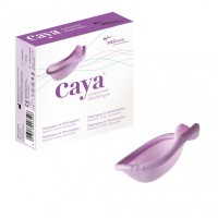 Caya US logo - Similar company to Bivea