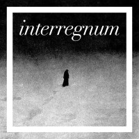 Interregnum LLC logo - Similar company to Interregnum Plc