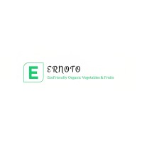 ErNoto logo - Similar company to Techniera