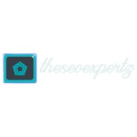 Theseo Expertz logo - Similar company to 1Box Media