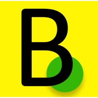 BIANext logo - Similar company to Sentido Analítica