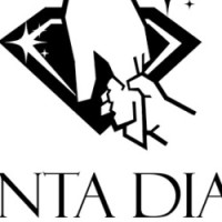 Penta Diam logo - Similar company to Mapmygenome Canada