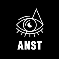 ANST logo - Similar company to Wish Consult