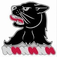 11th Engineer Battalion logo - Similar company to 130Th Engineer Brigade