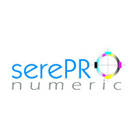 SEREPRO NUMERIC logo - Similar company to Info-One Groupe