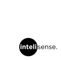 InteliSense logo - Similar company to Intelisense It