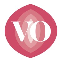 Vibes Only logo - Similar company to Medvec & Associates