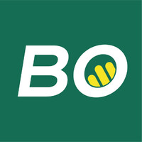 BORINI logo - Similar company to Saybus