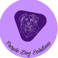 Purple Dog Solutions LLC logo - Similar company to Binbox, Inc