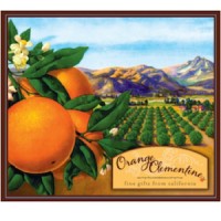 Orange Clementine
