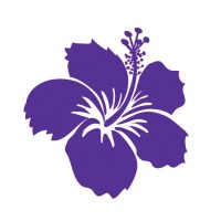 PMI Southern Caribbean Chapter logo - Similar company to National Security